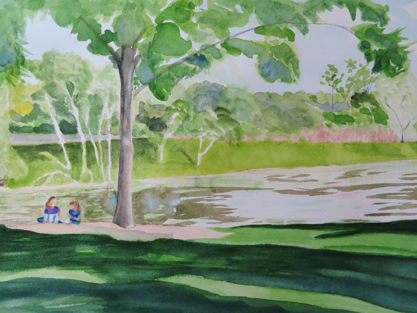 An Afternoon in the Grant Woods