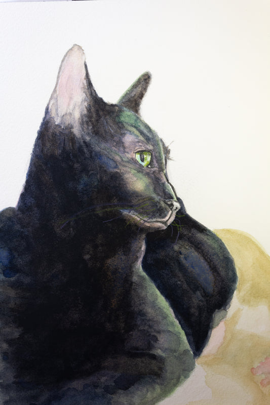 Black Cat