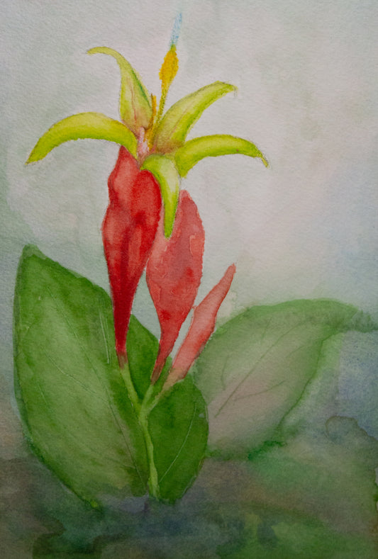 Forest Flower Watercolor Painting